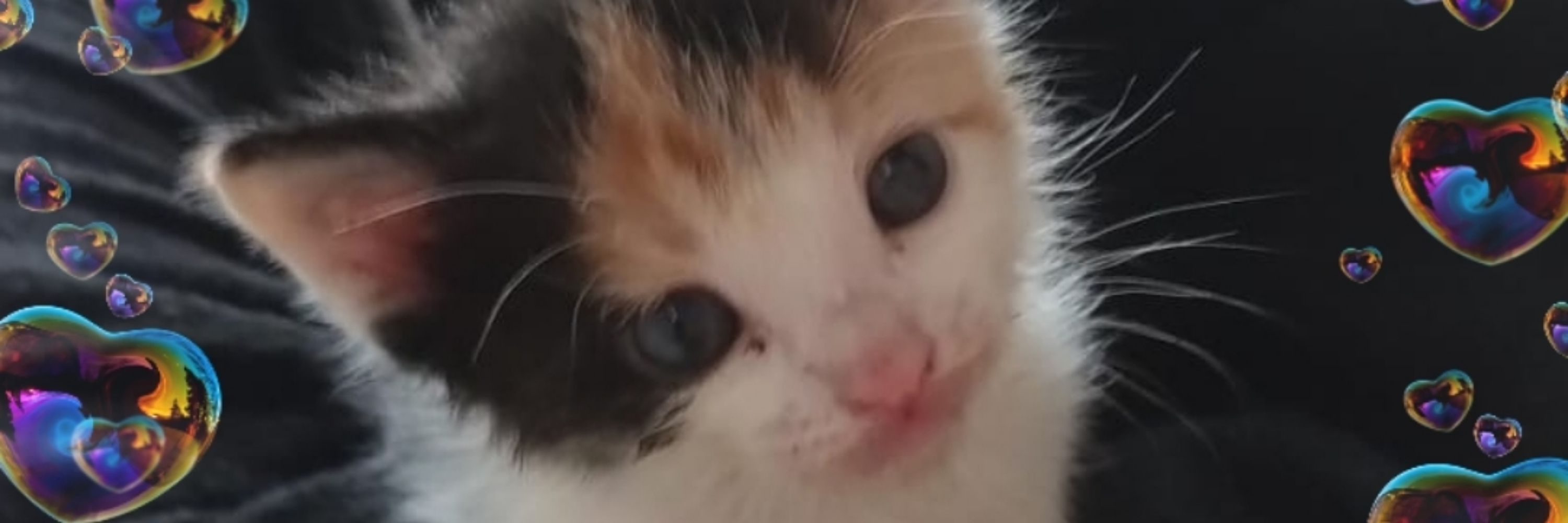 tori <3 