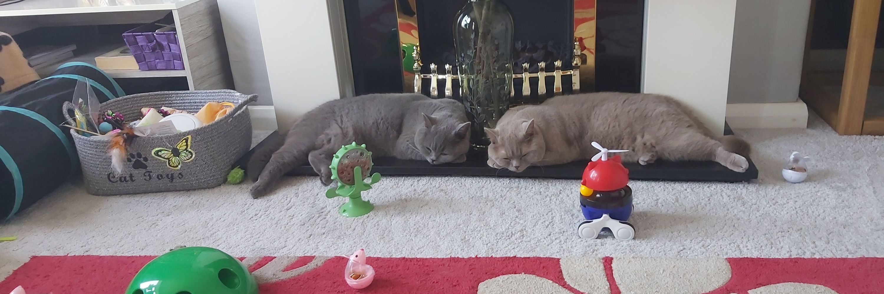 Gail and Jasper