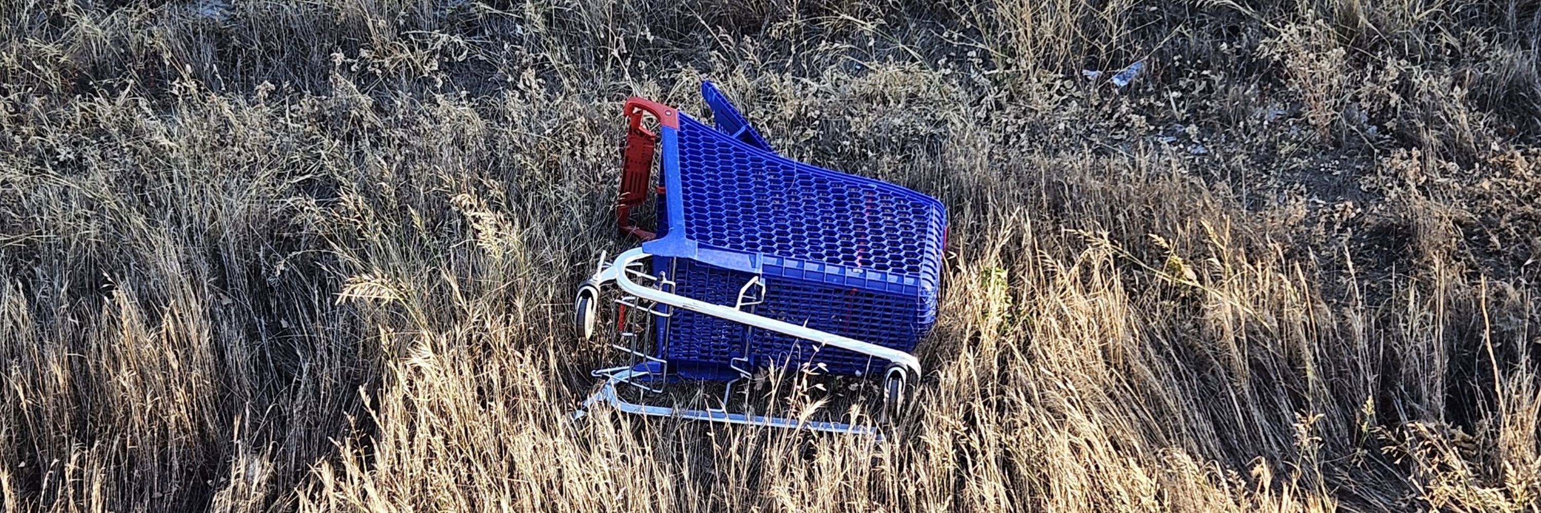 🛒 Tu carro de la compra