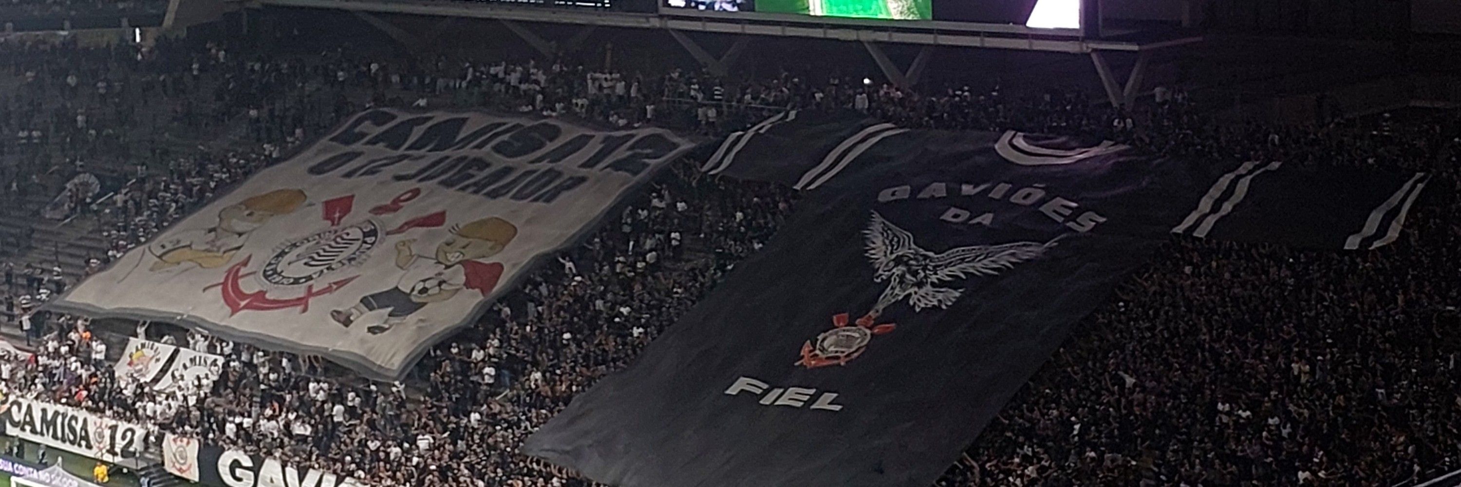 Fernandorinthians 