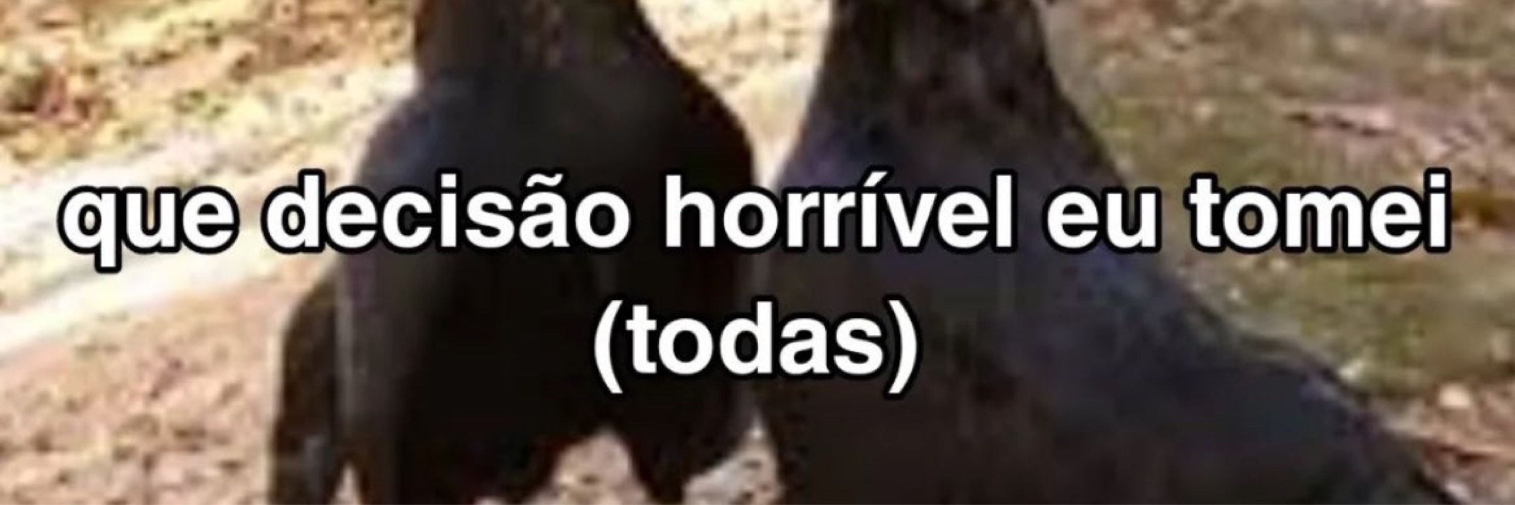 Lari