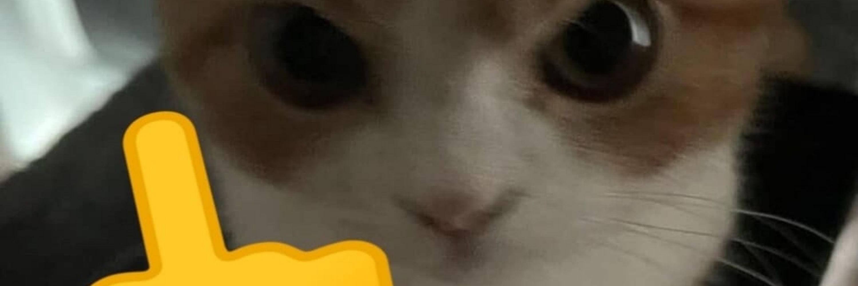 Patinho_Cósmico 
