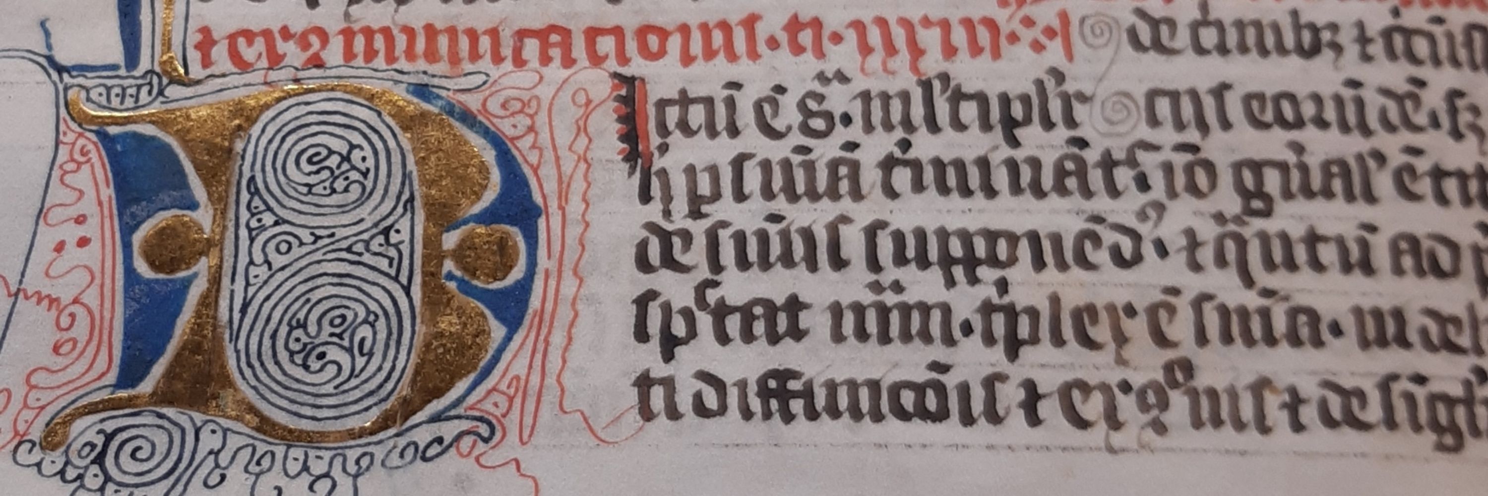 Xaverius