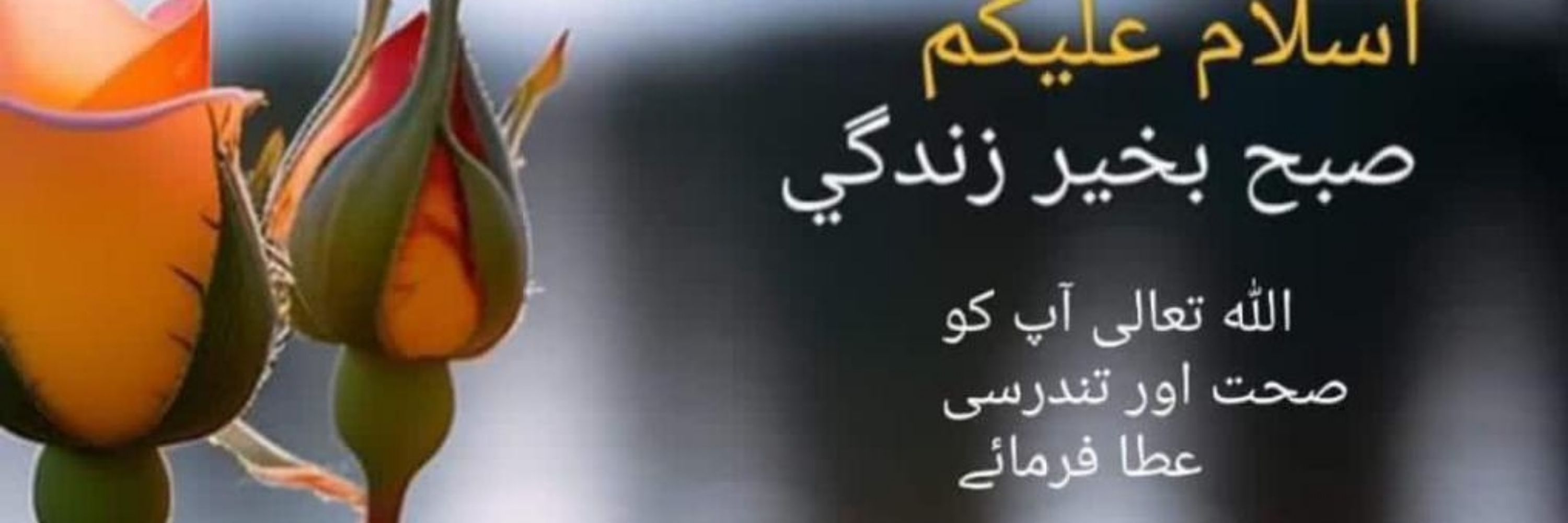 PAKISTAN ZINDABAAD