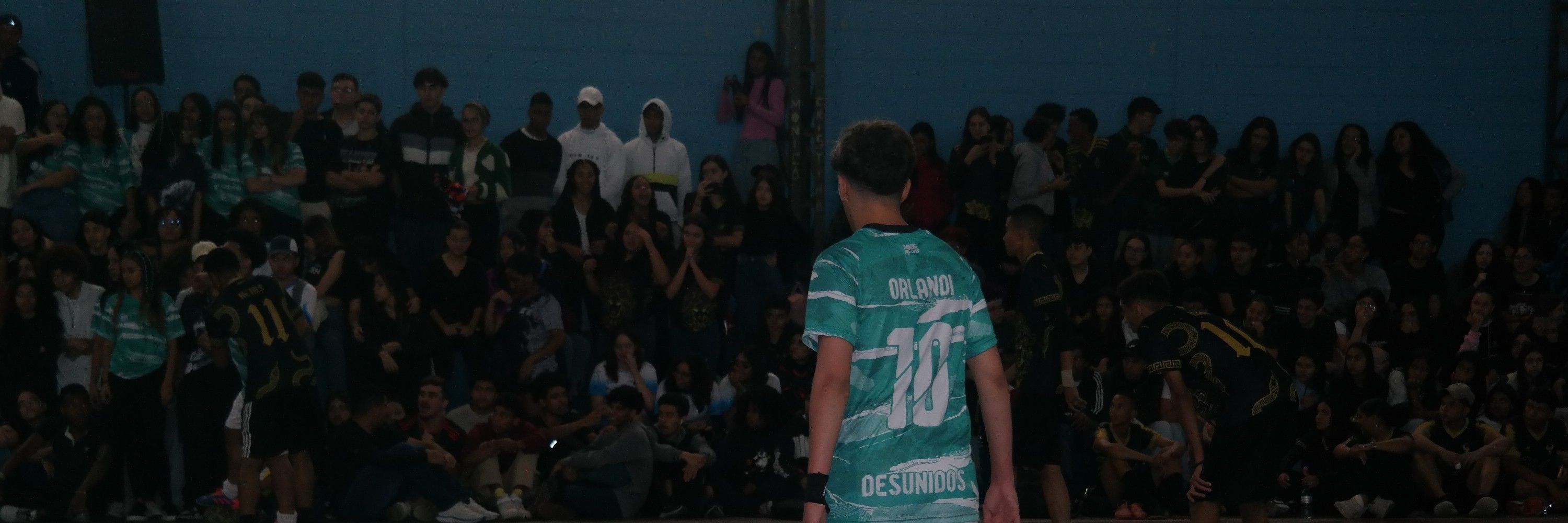 Guilherme Orlandi