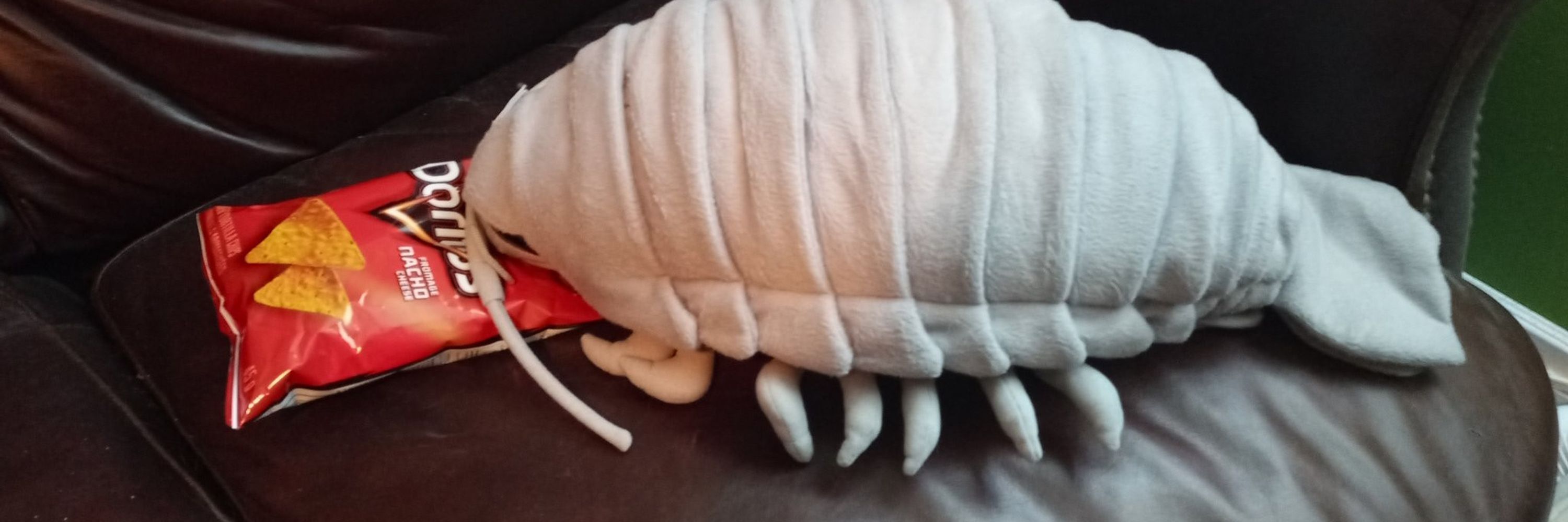 me if i was lobsta 🏳️‍⚧️ 🦀