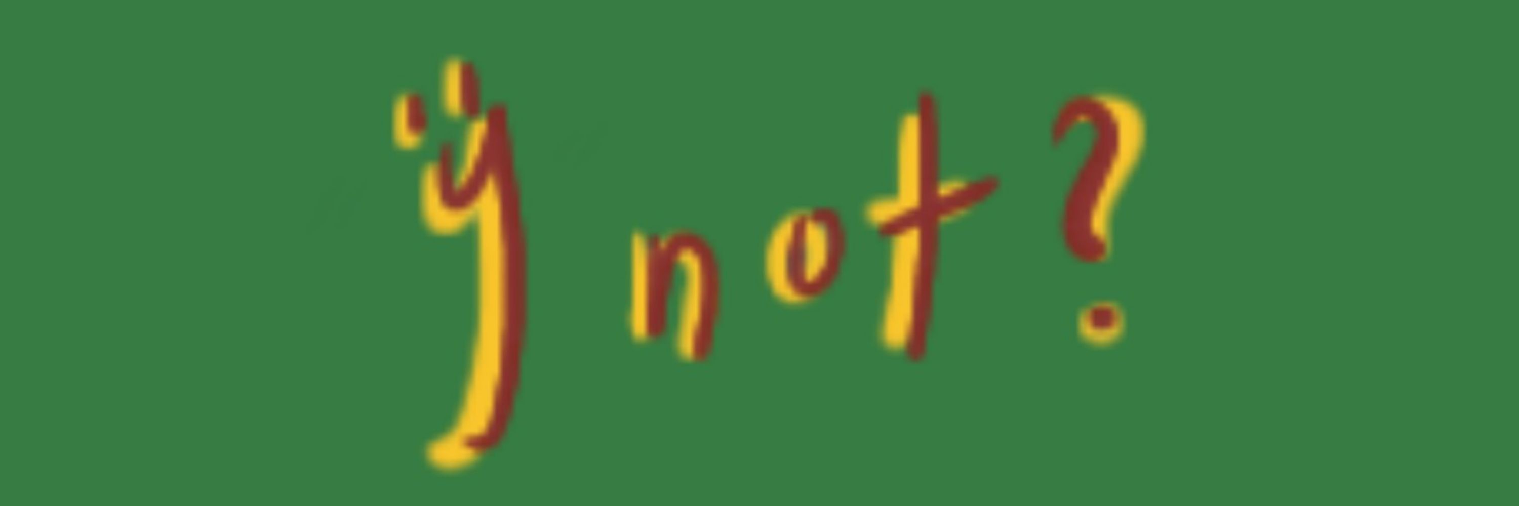 와이낫 ynot