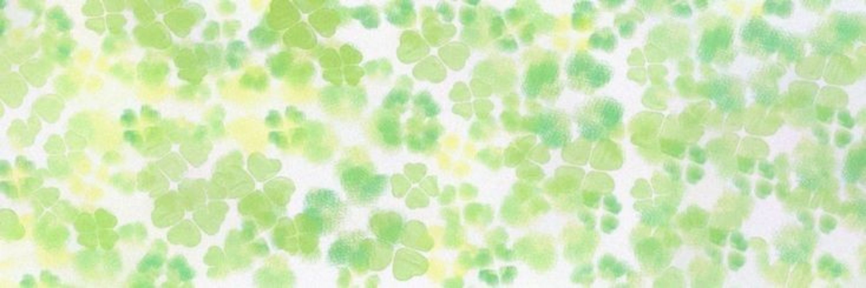 ˖ 🍀 ᝬ ʿcloverkunꜝꜞ 𖦹 ˖࣪،̲Ꮺ !