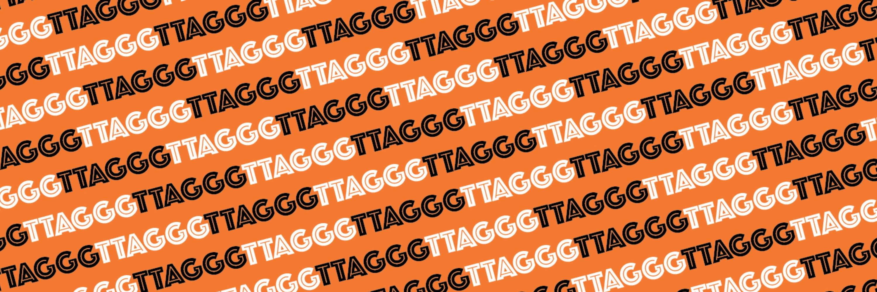 Bianchi Telomere Lab