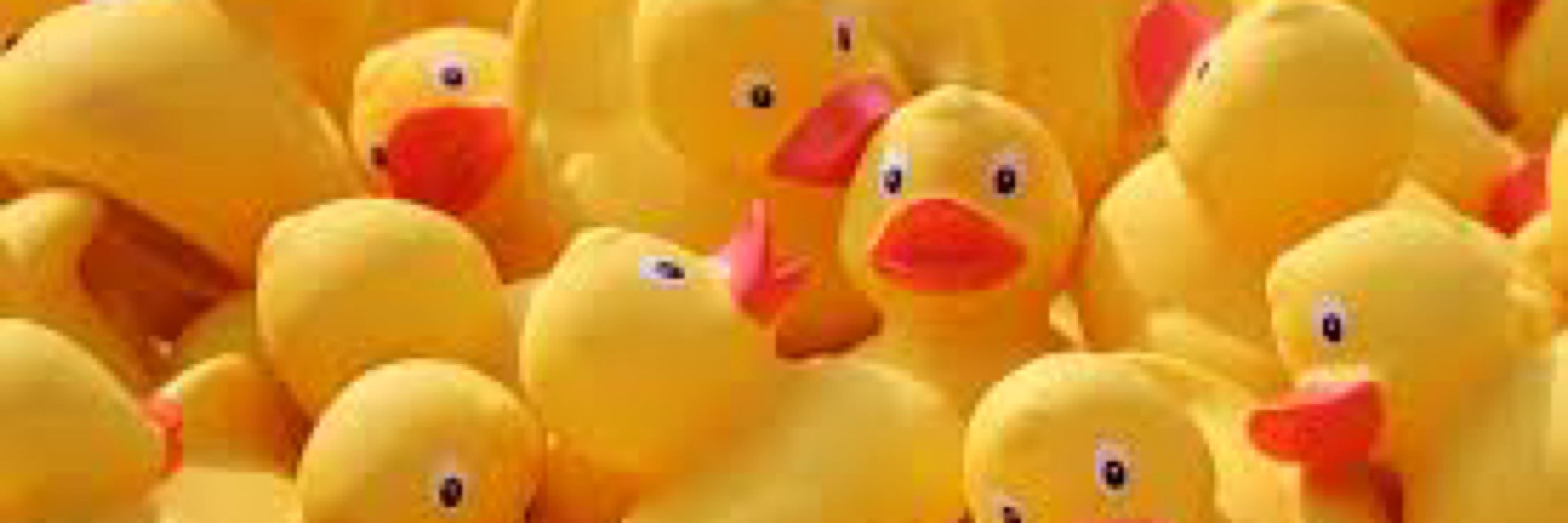 Rubber Duck Society