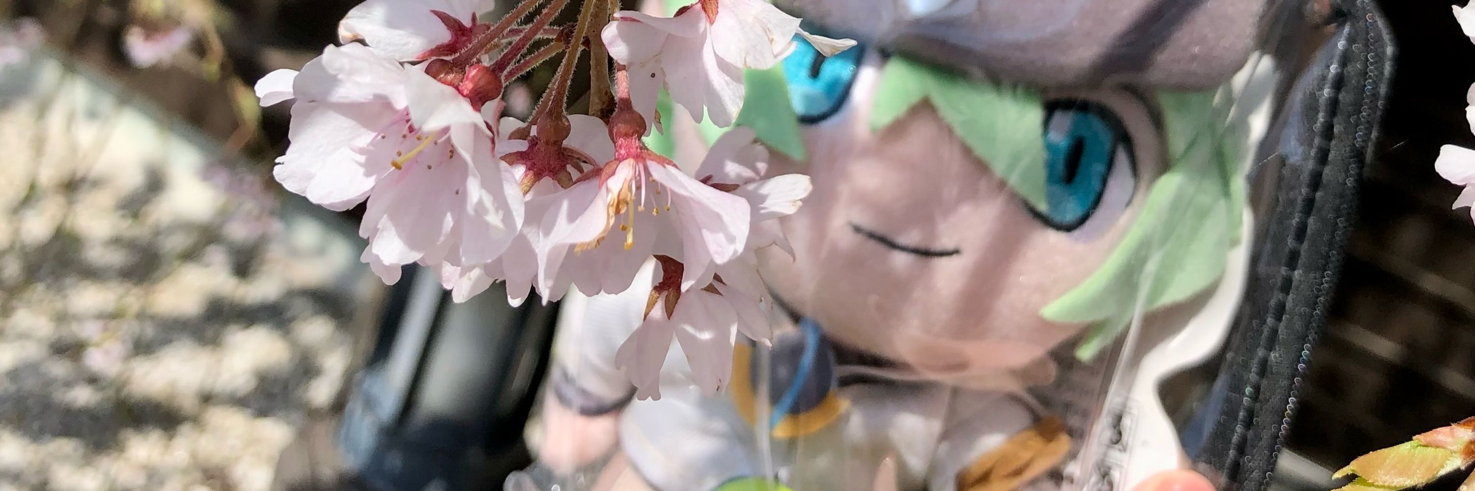 るるこ