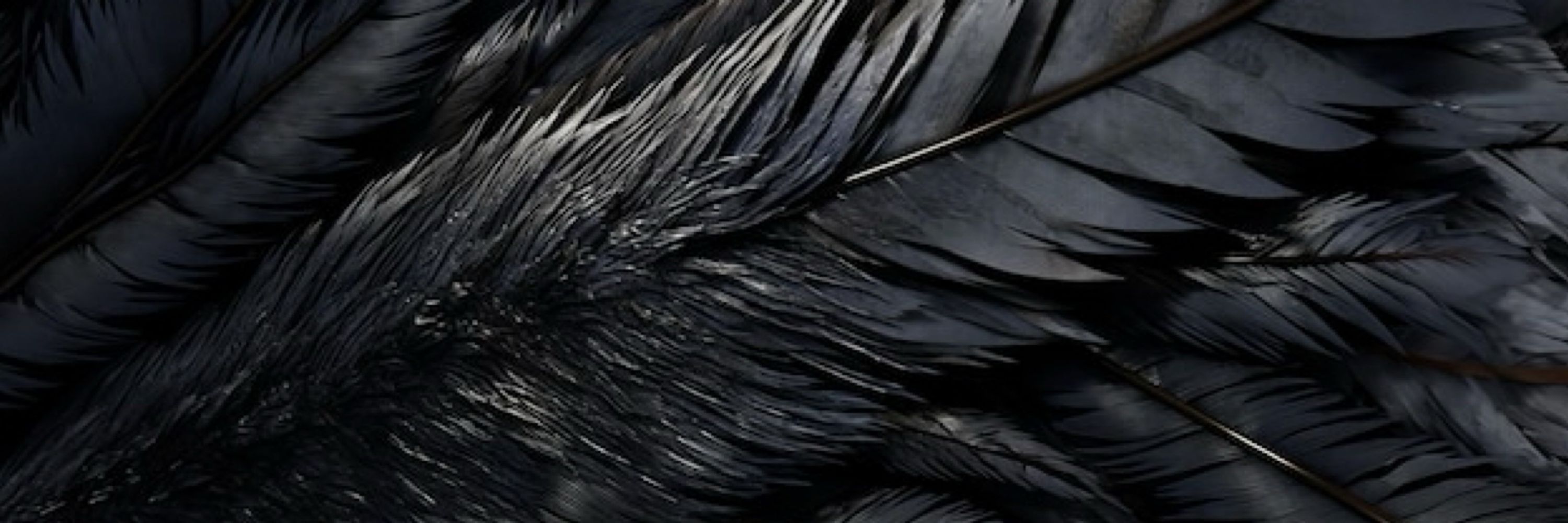 The Matron of Ravens