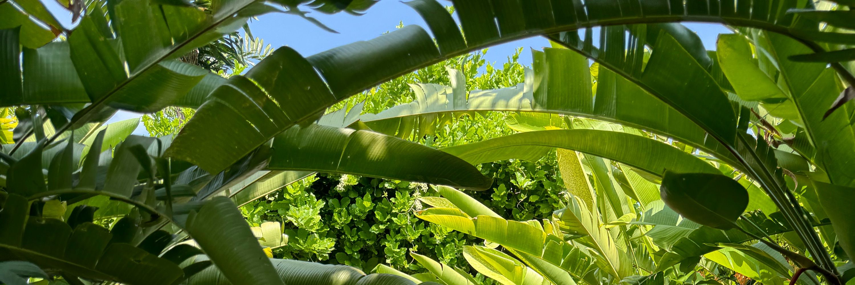 ECO Fellah 🇺🇦 🌱