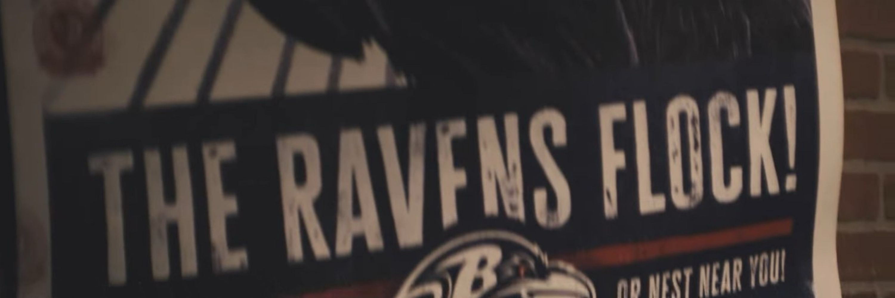 BoixosNois／Raven Flock