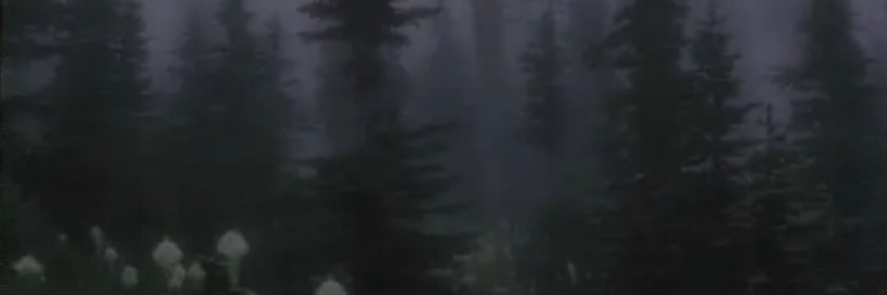 🍂🍄𝔚𝔦𝔩𝔩𝔬𝔴🦇🌙