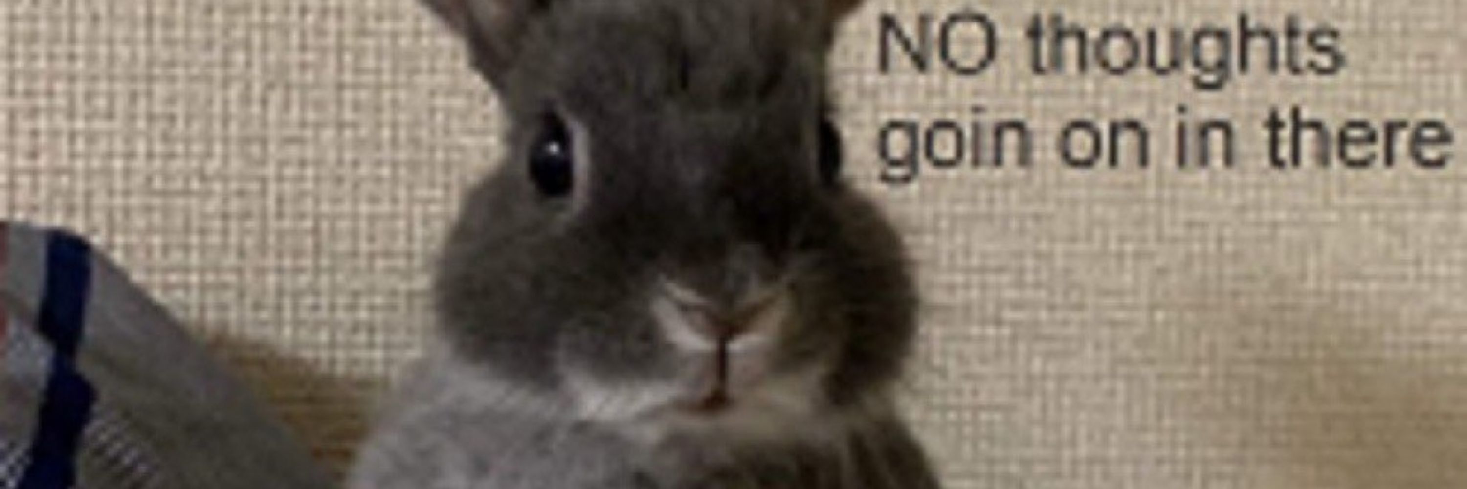 Felix Bunns