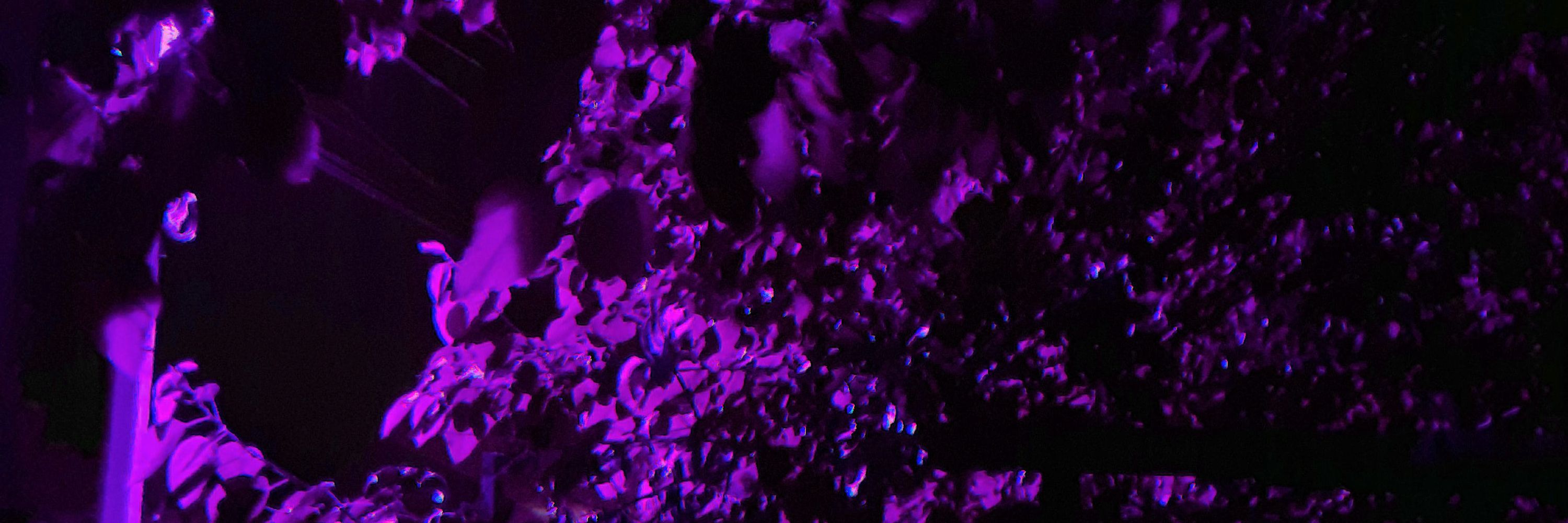 ʜᴀᴘᴘʏ ᴍᴀᴄʜɪɴᴇ ✧₊⁺