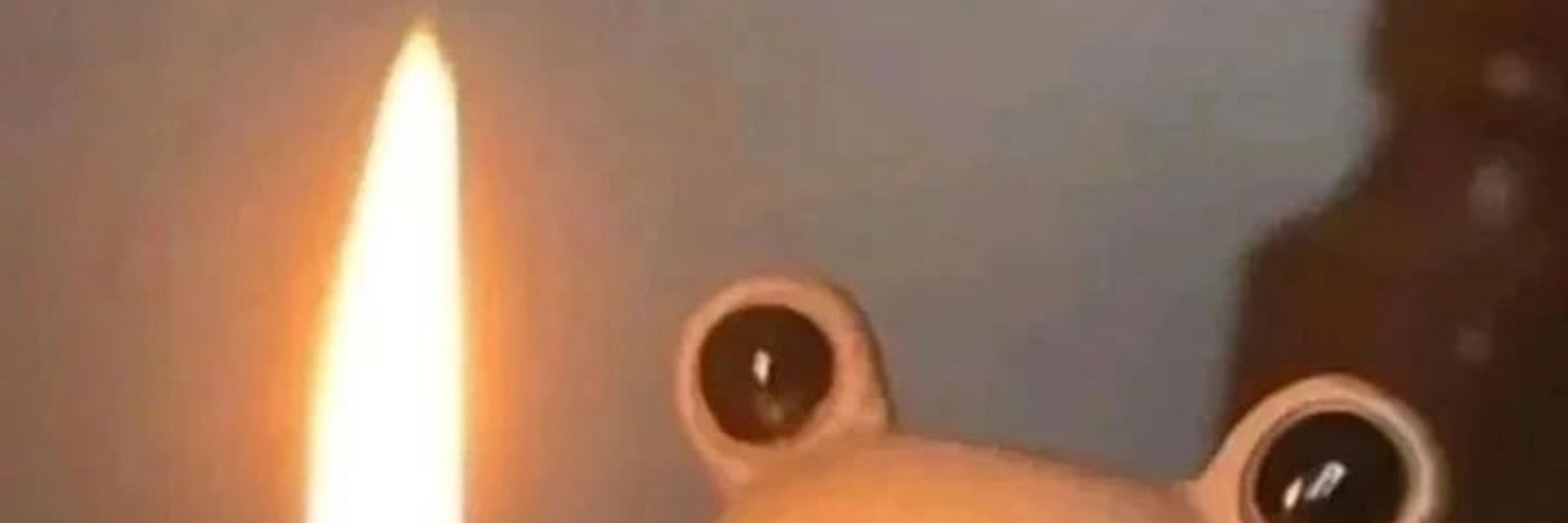 TheNaughtyBody
