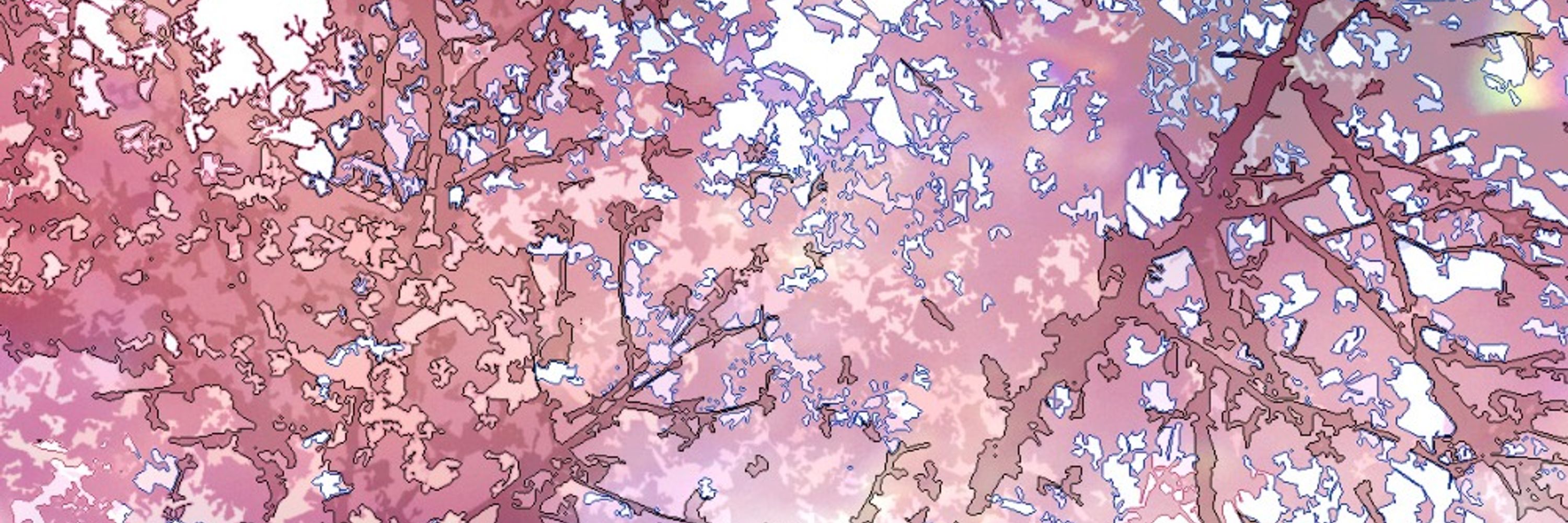 Mazui