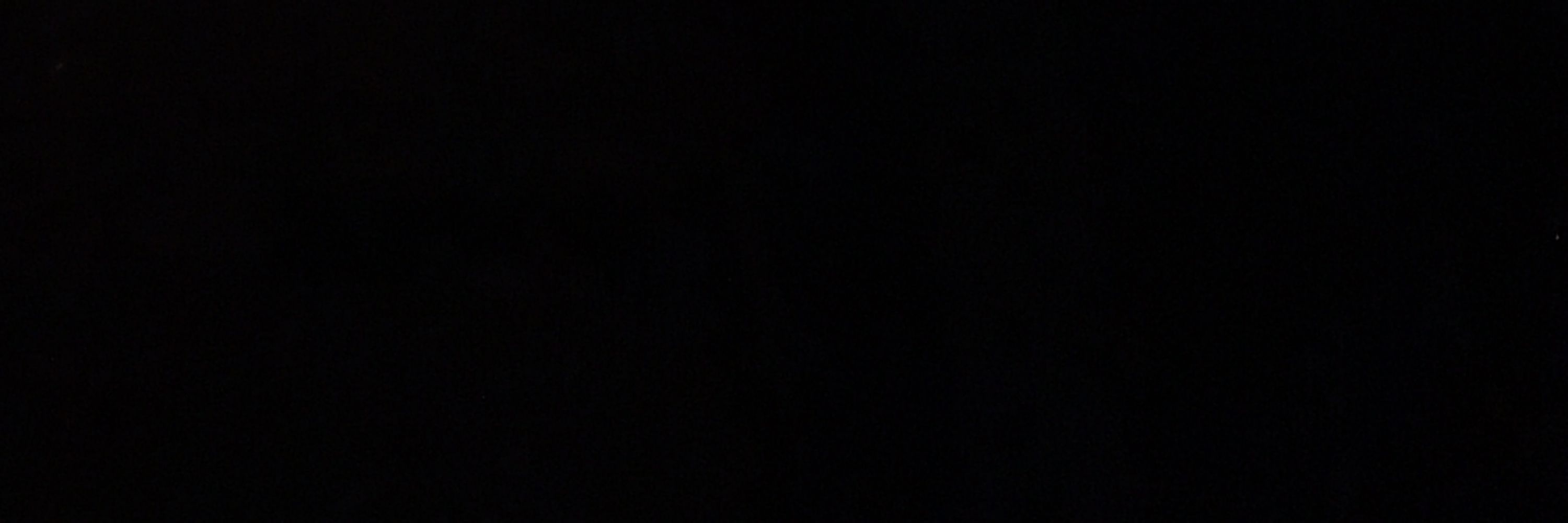 Lele