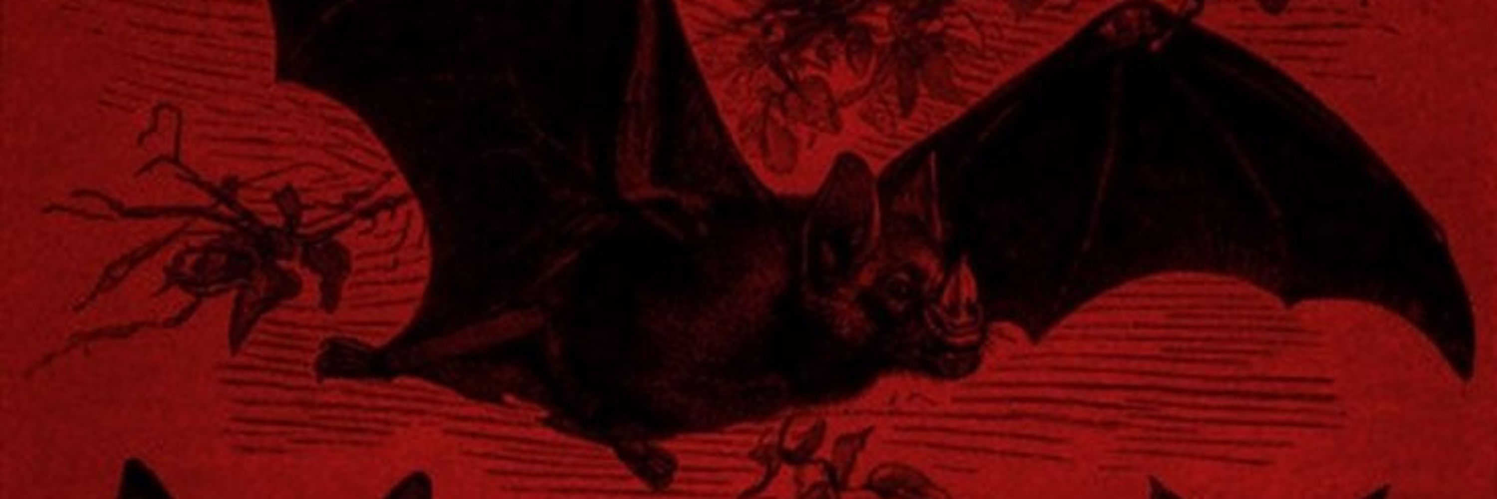 Nana comedora de rato☥🦇