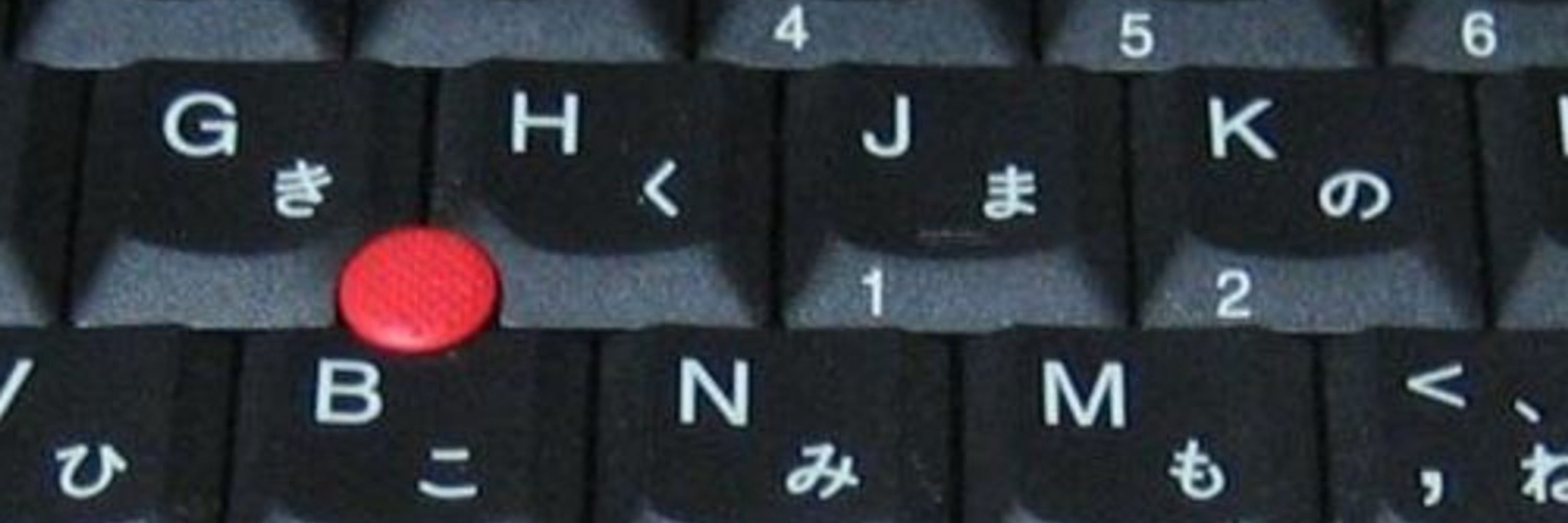 tsucchie