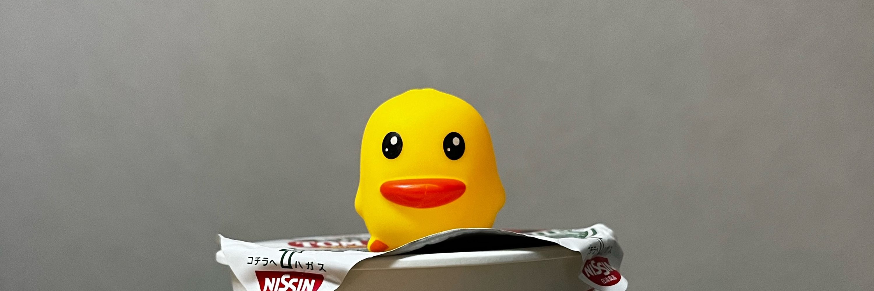 コアラの赤ちゃん
