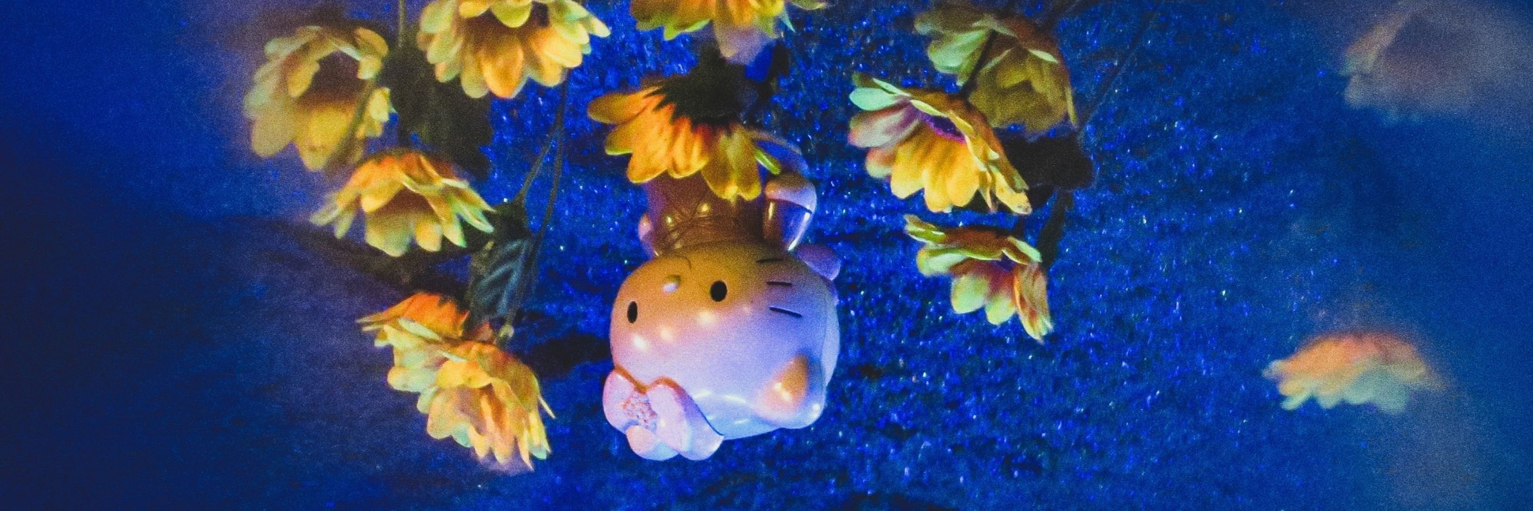 Pollita