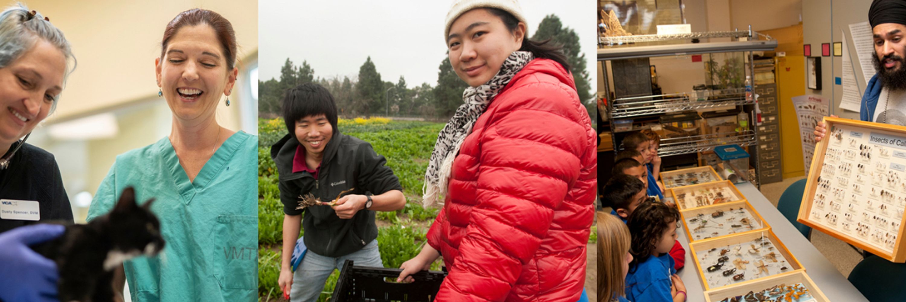 UC Davis Public Scholarship and Engagement