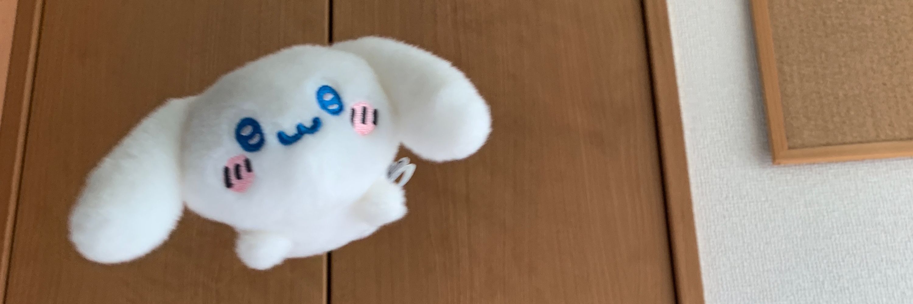 ぎんがちゃん