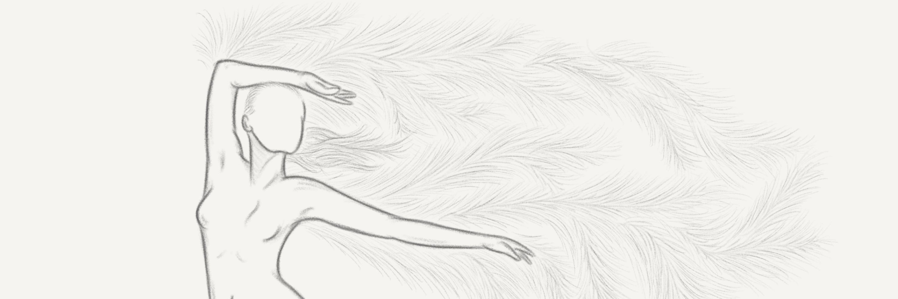 Red Line Sketch