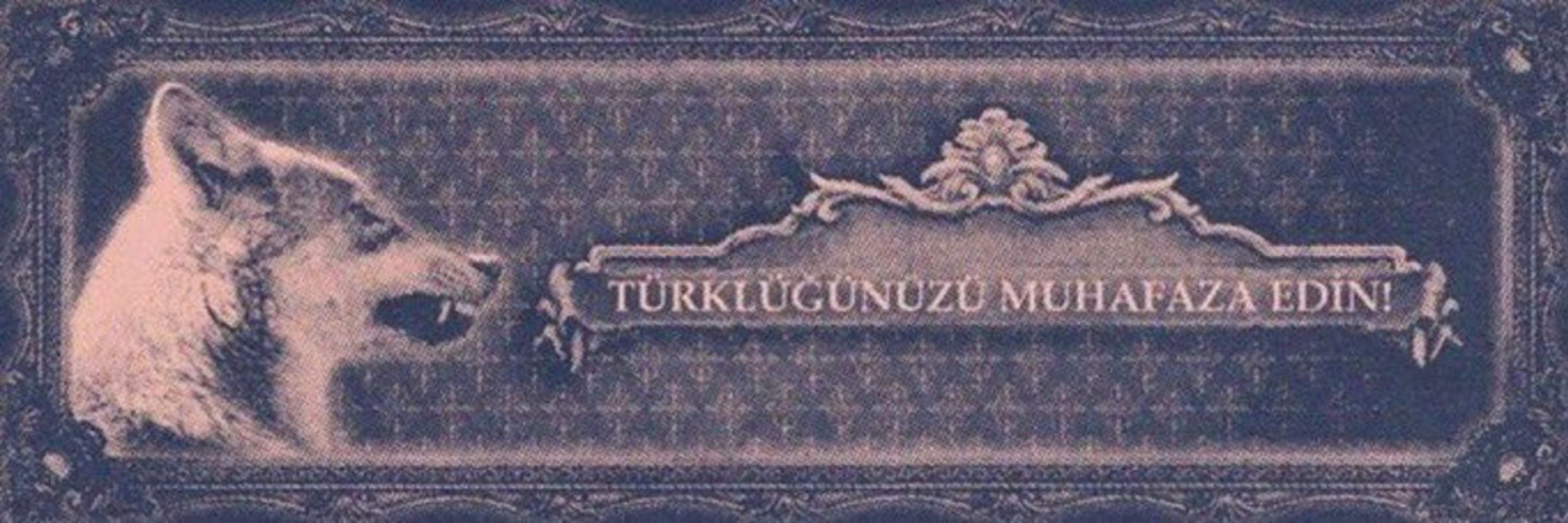 AliGursoy