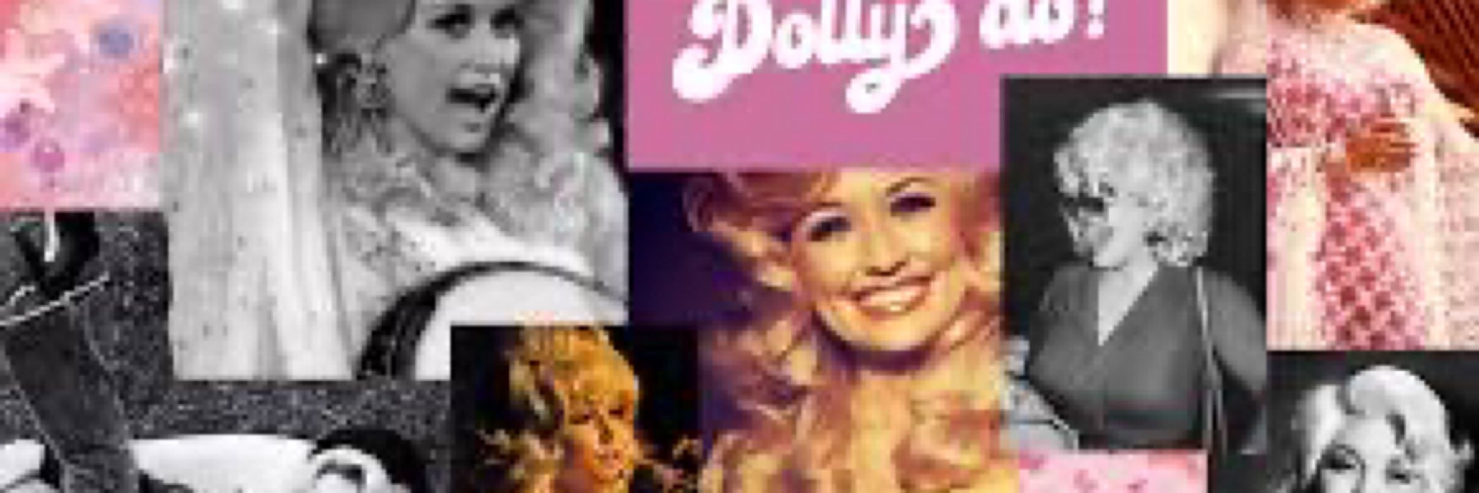 Stacy Bisel