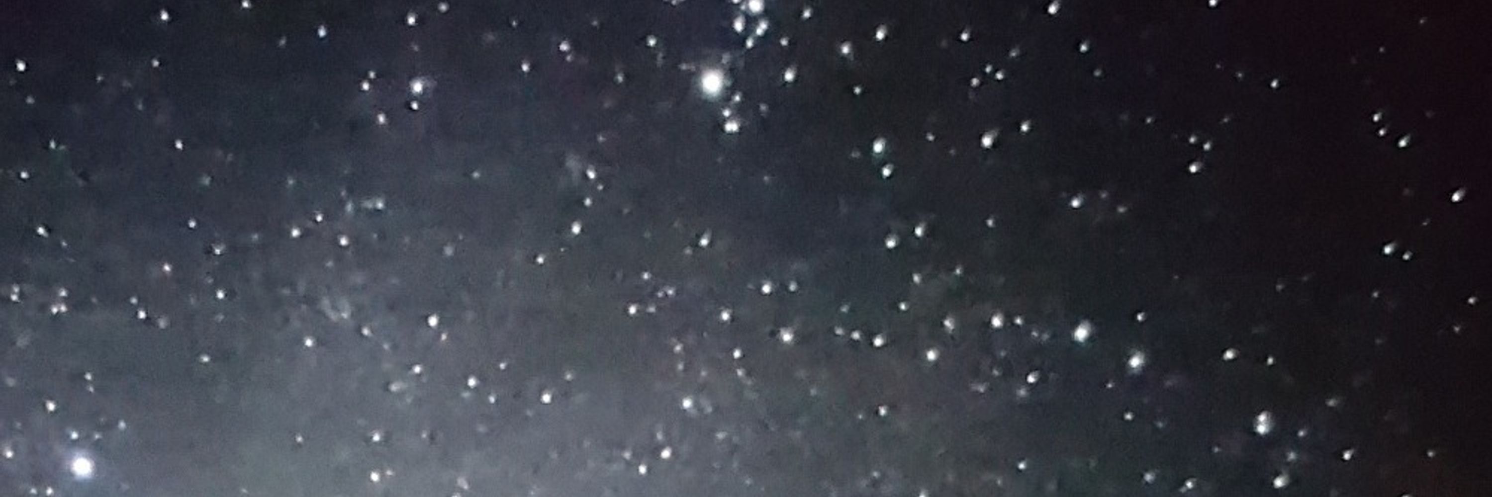 ✨