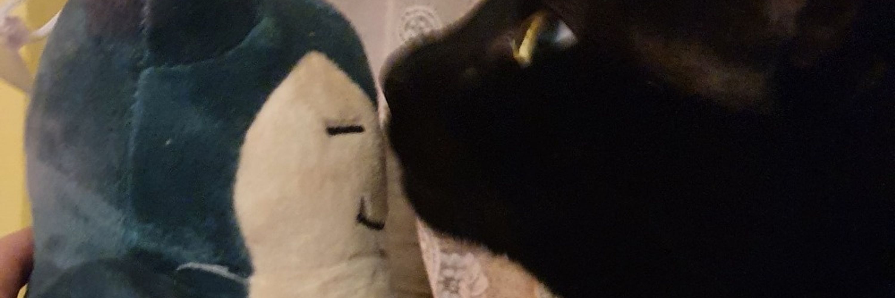 Snorlax the Great and Perpetually Exhausted