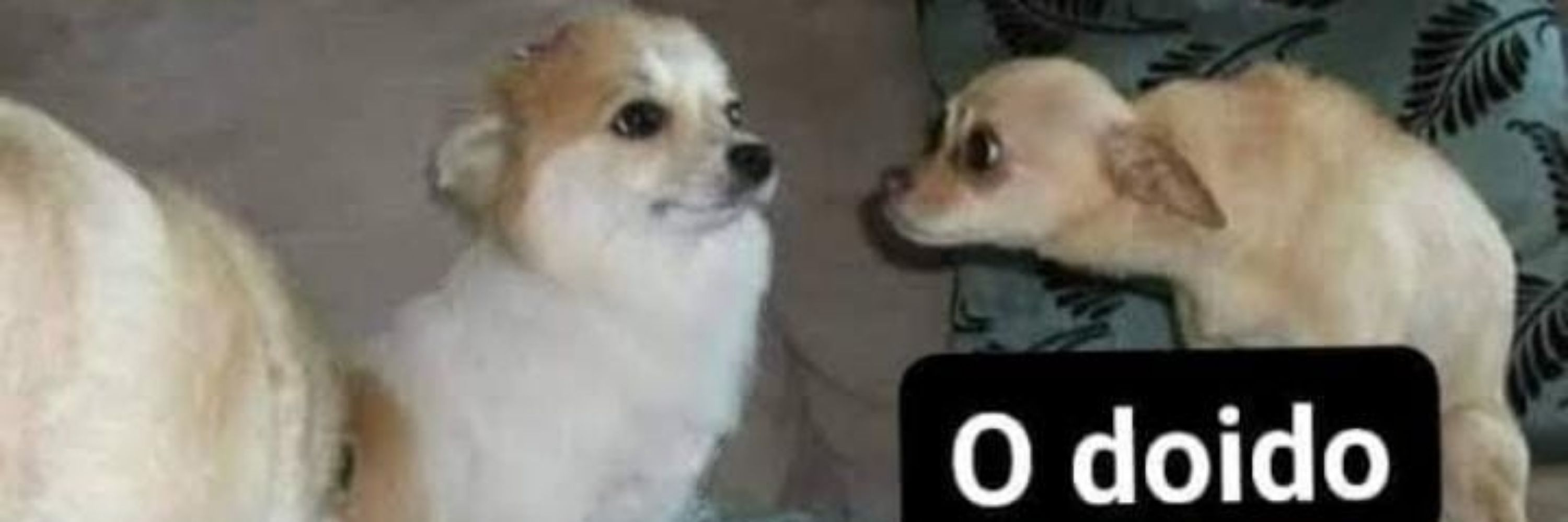 Memes do Capsteco
