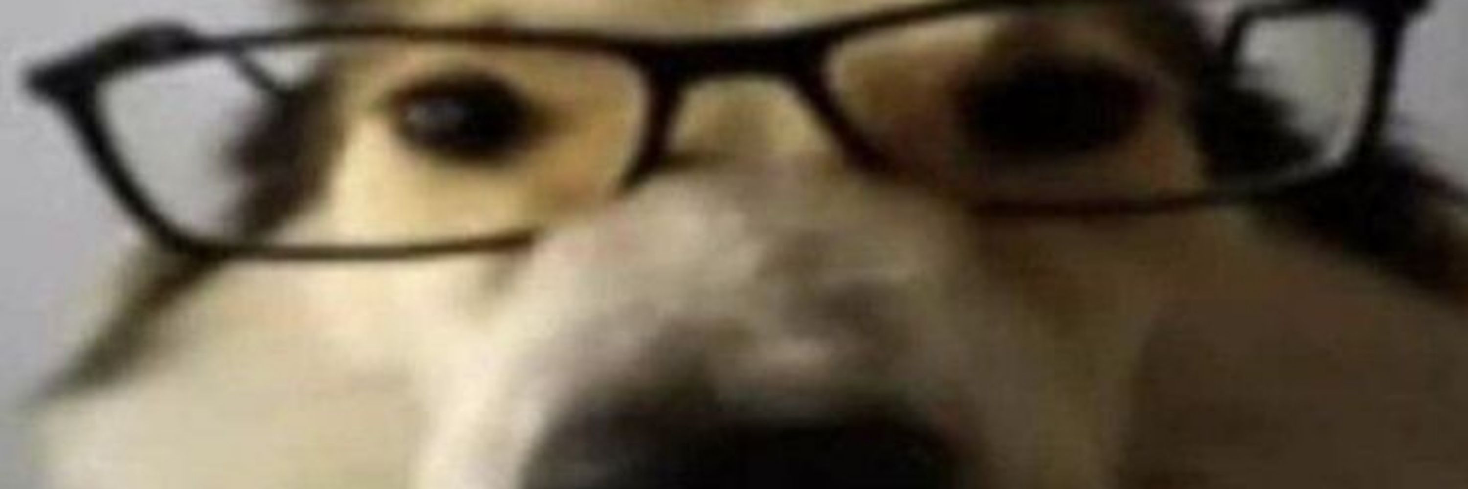 Lofht