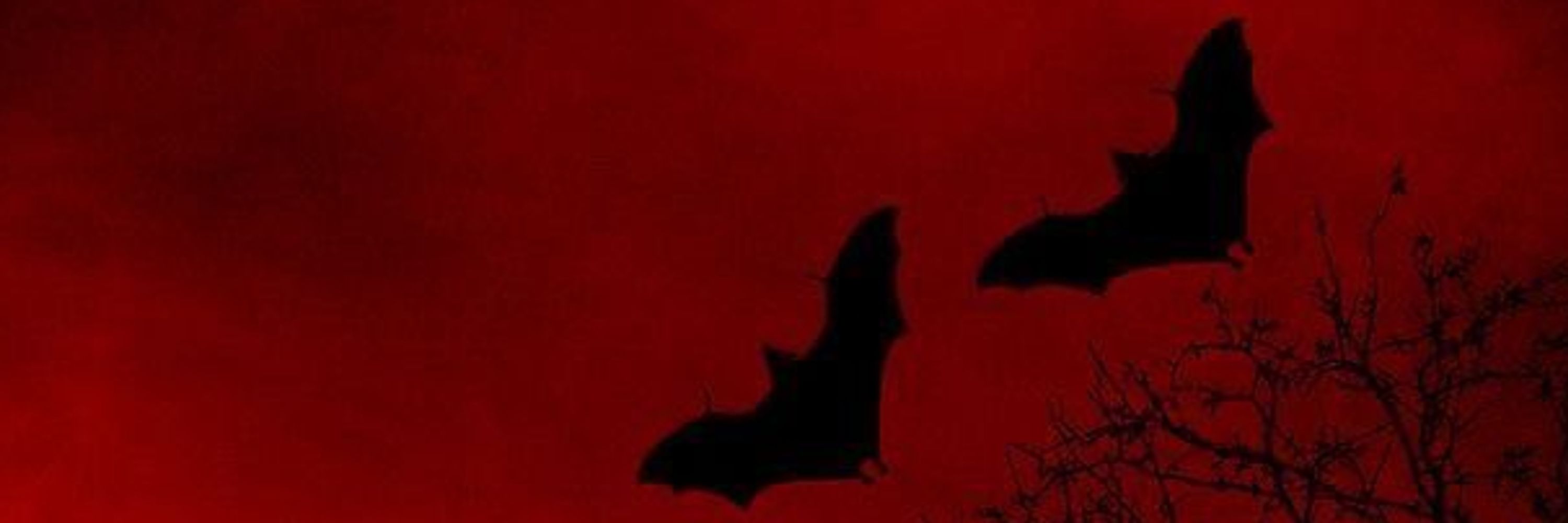 Eclipsis "Clipsy" Nevermore