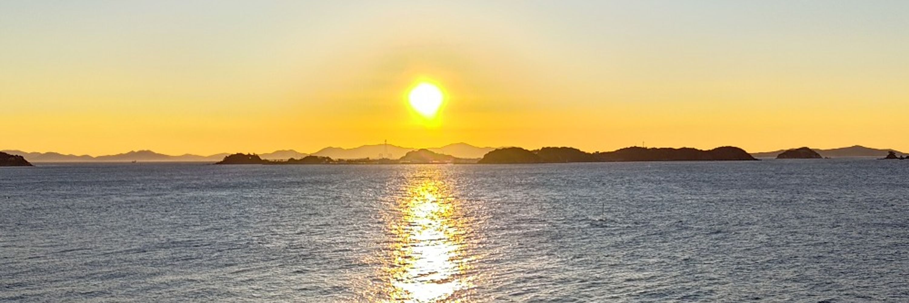 ぱんだ