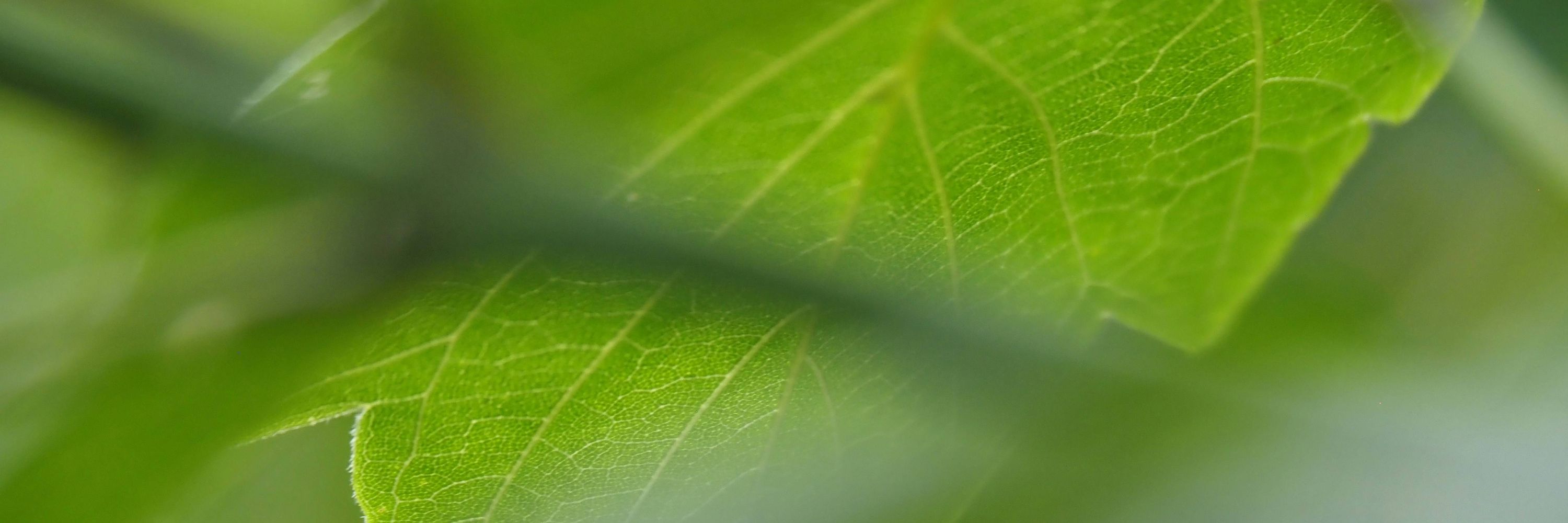 CO₂RE – The Greenhouse Gas Removal Hub