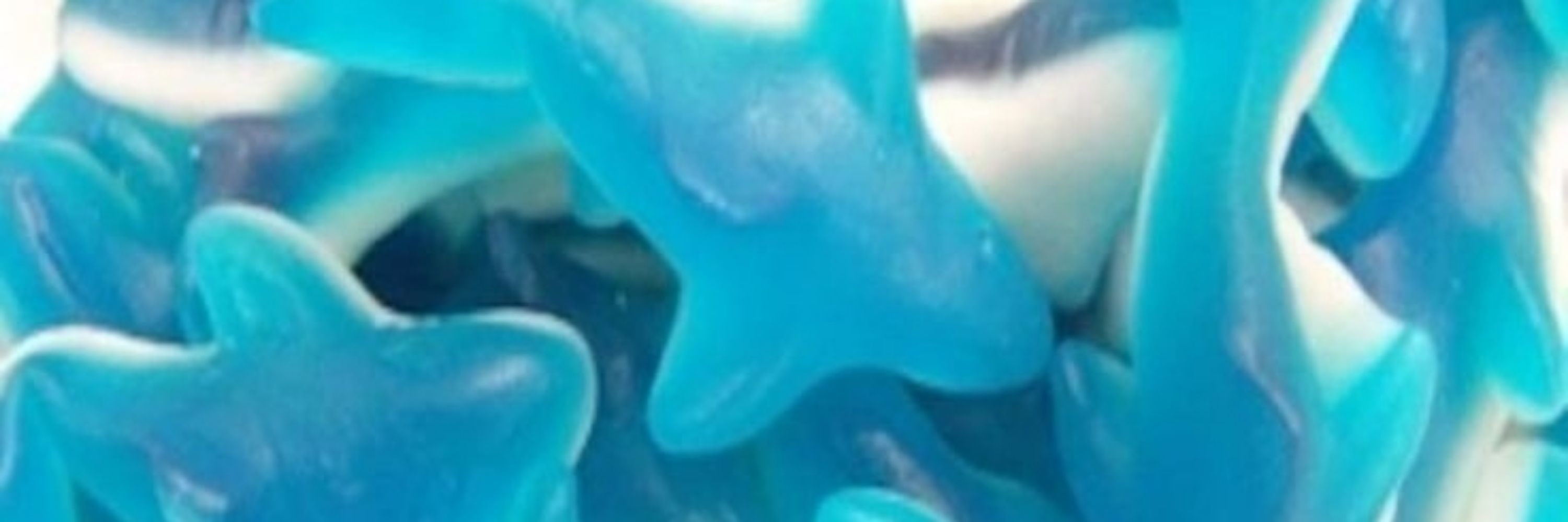 GUMMY💙🦈