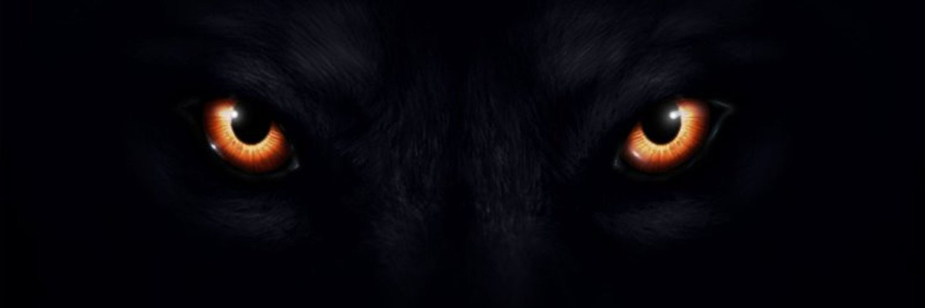 Rex