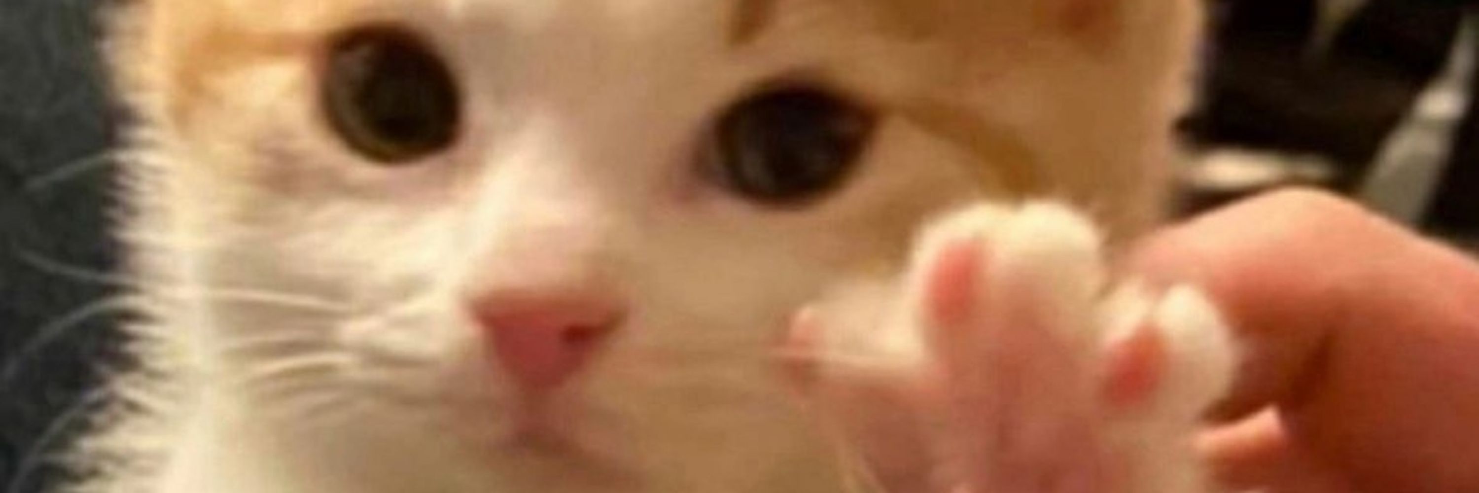 가을구름