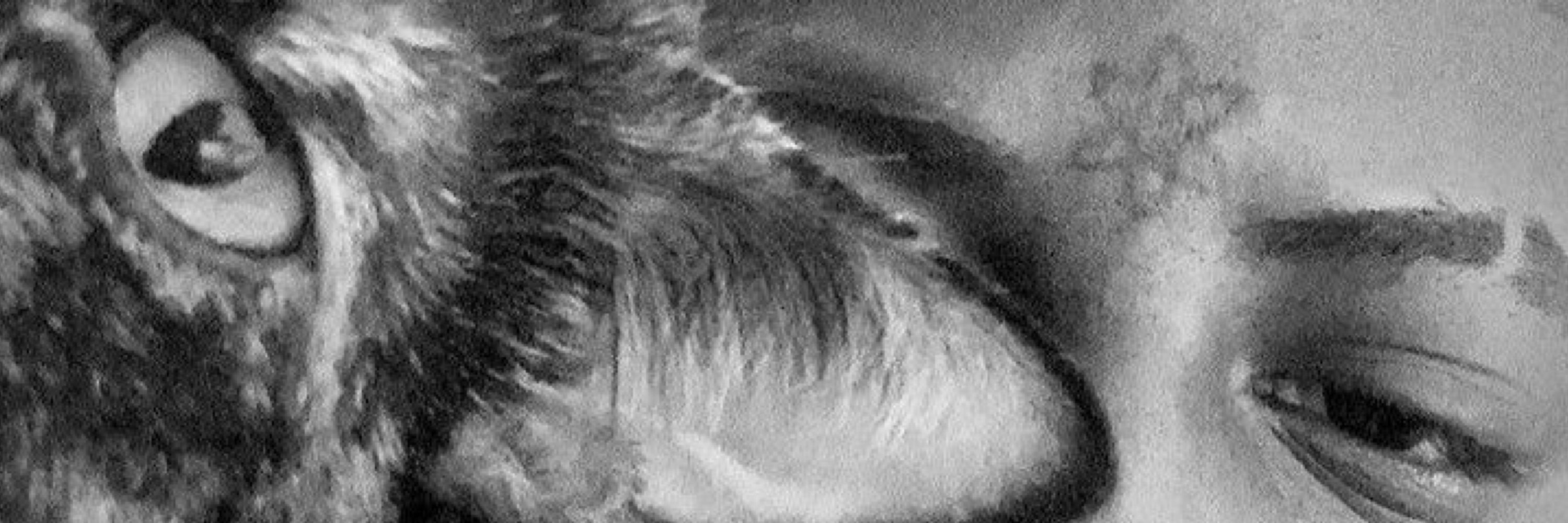 ray sem f 3.0 
