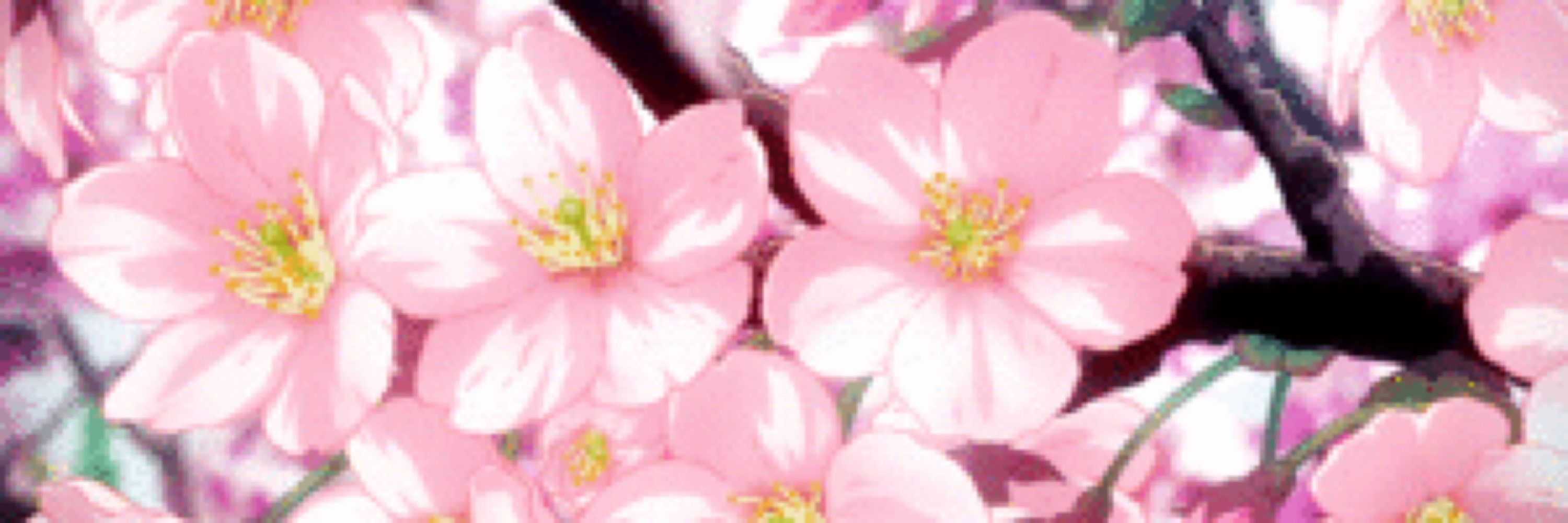 ♡ 𝔠𝔬𝔲𝔡𝔢𝔠 ♡