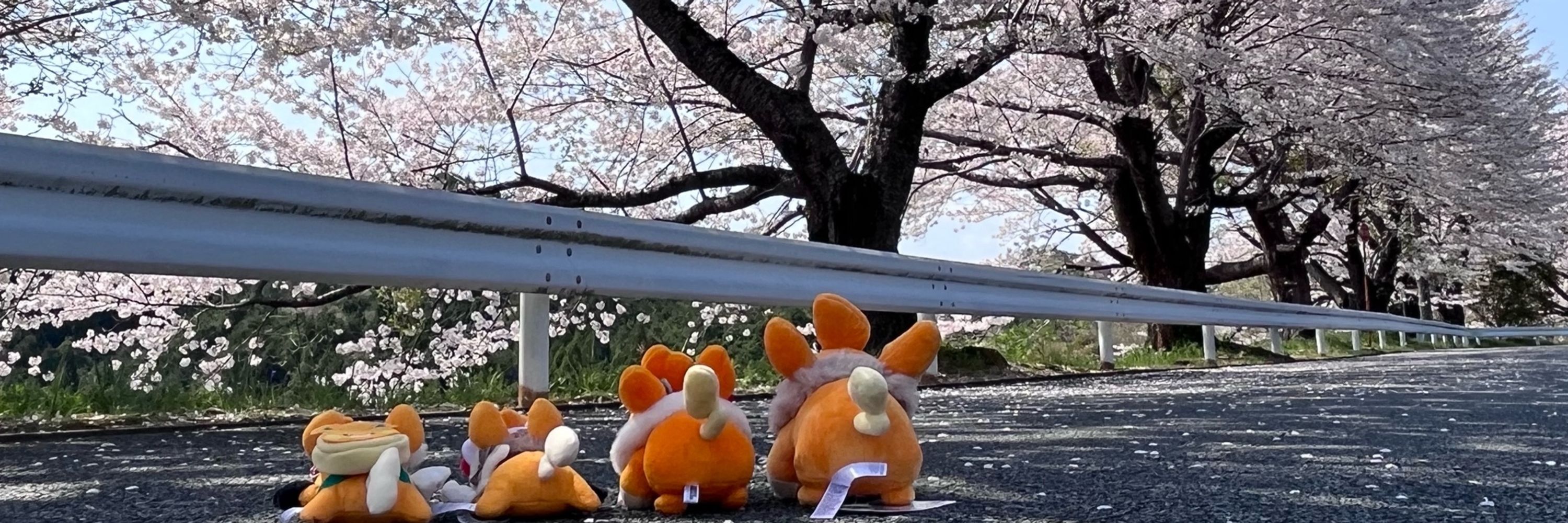 ななし