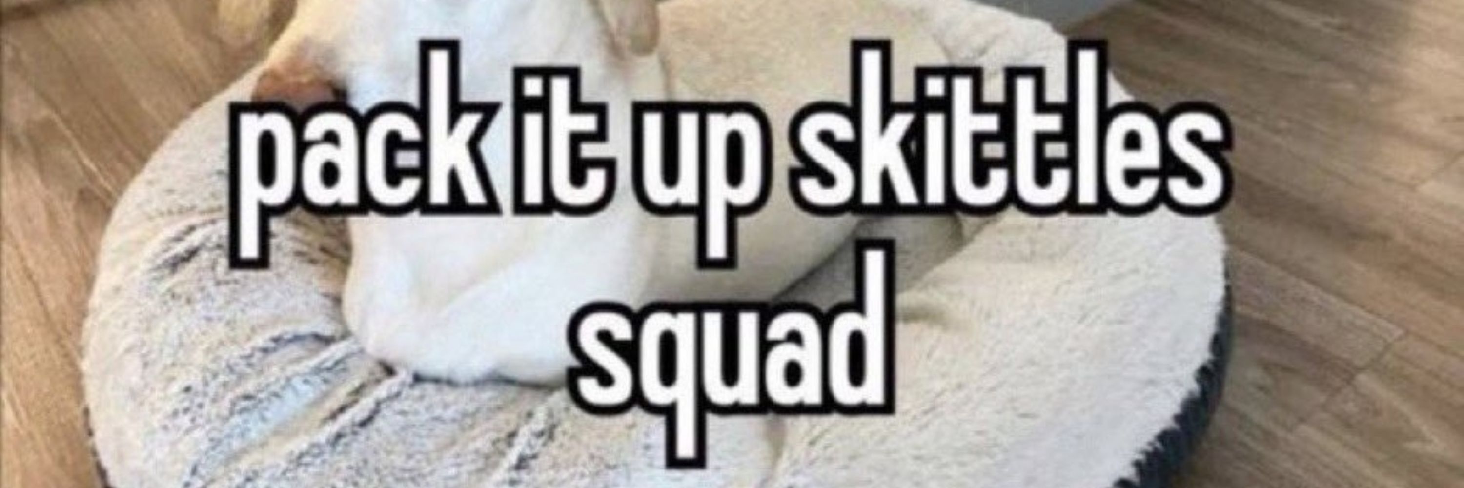 Ketho the Stupid Puma