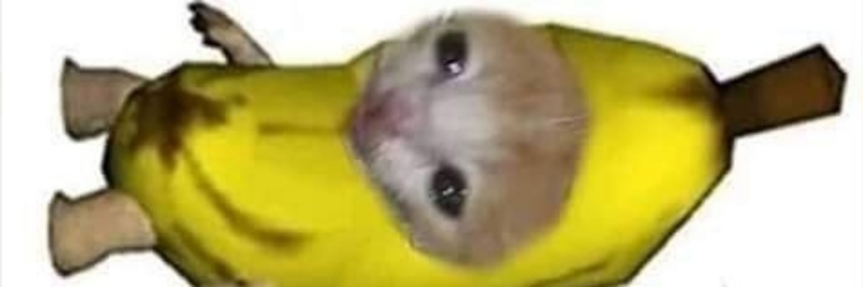 MrTomat