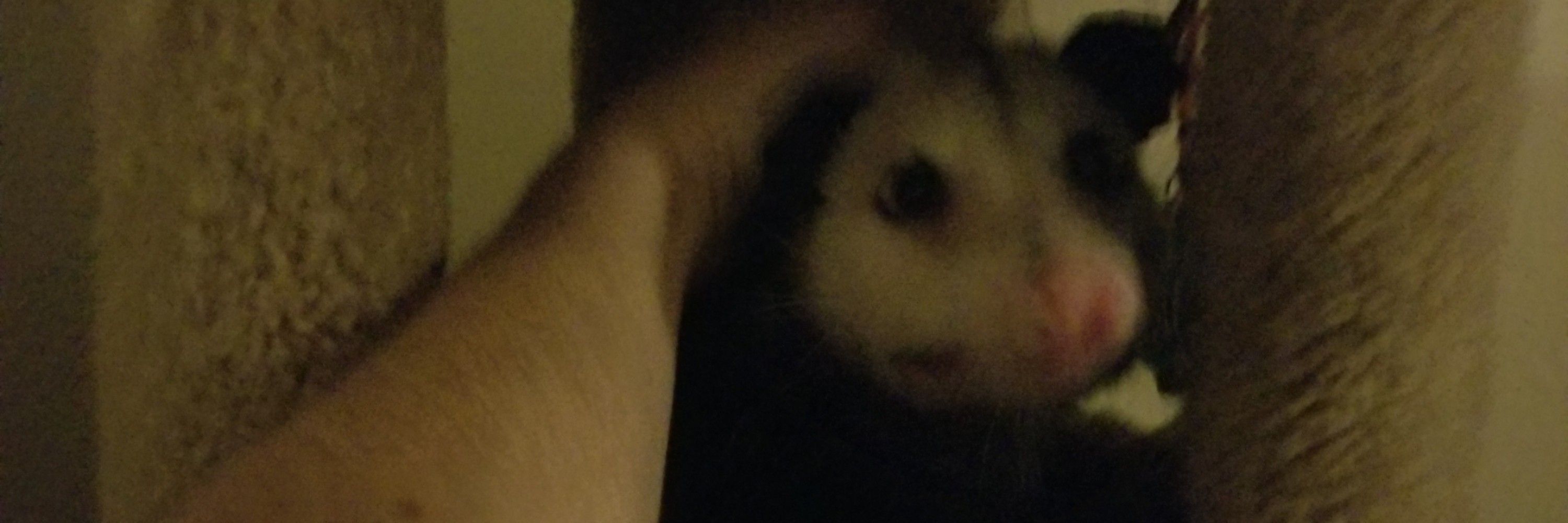 gruffle