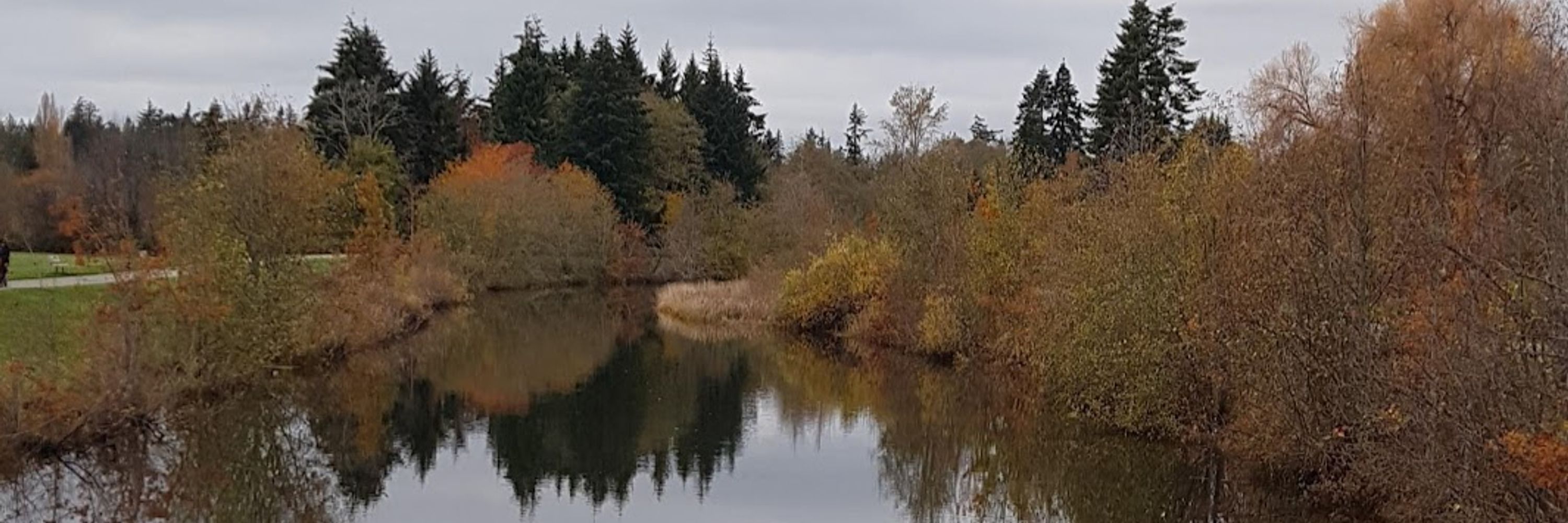 🍁lesundini